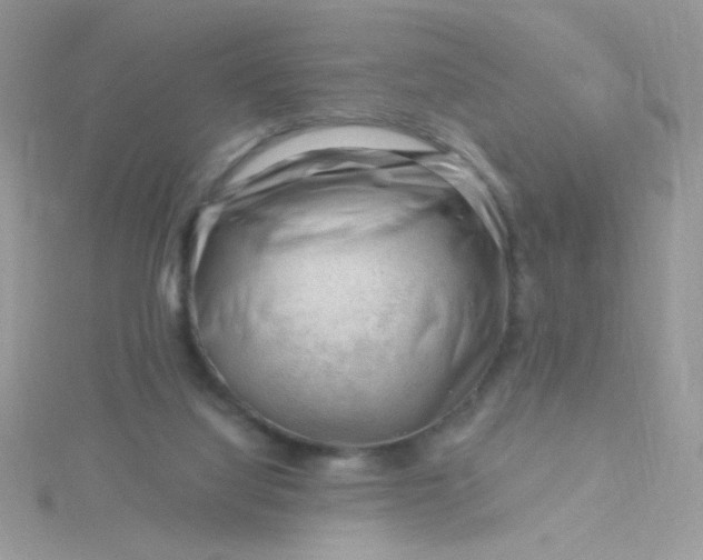 X0000115810068200911271125