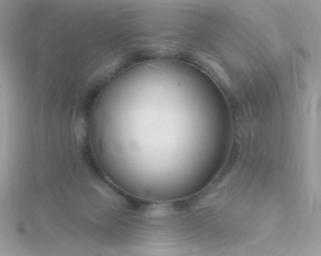 X0000115810077200911271125
