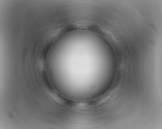 X0000115810081200911271125