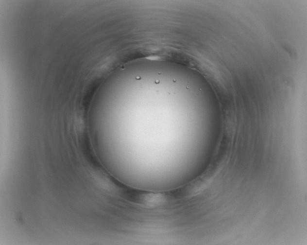 X0000115810085200911271125