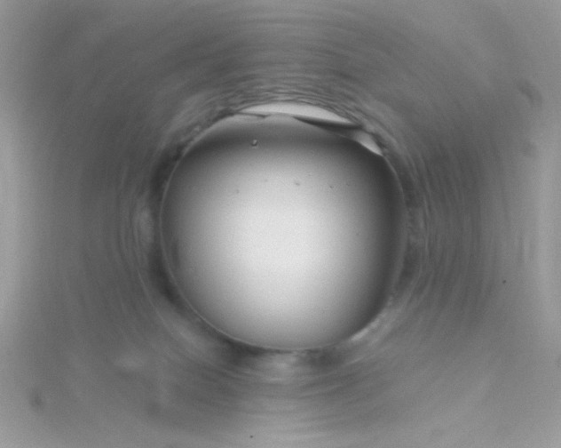 X0000115810086200911271125