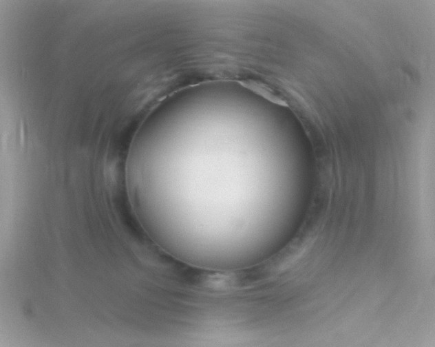 X0000115810088200911271125