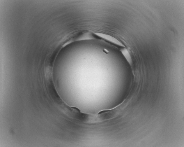 X0000115810093200911271125