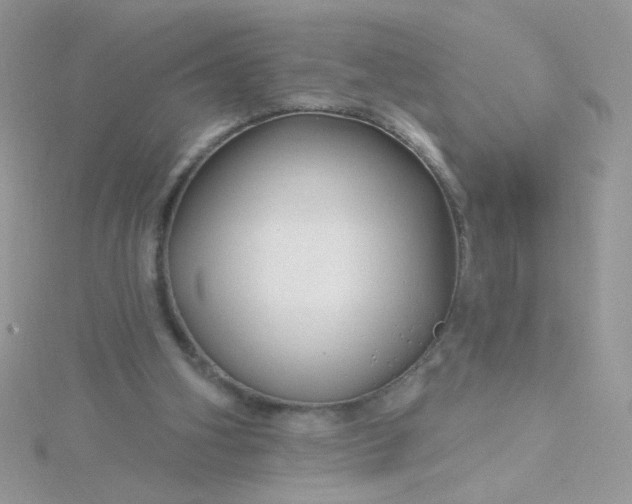 X0000115810106200911271125