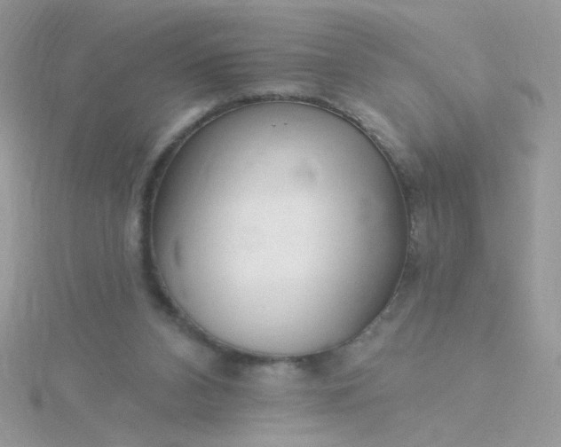 X0000115810112200911271124