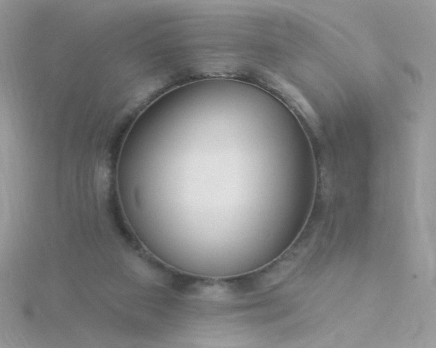 X0000115810113200911271124