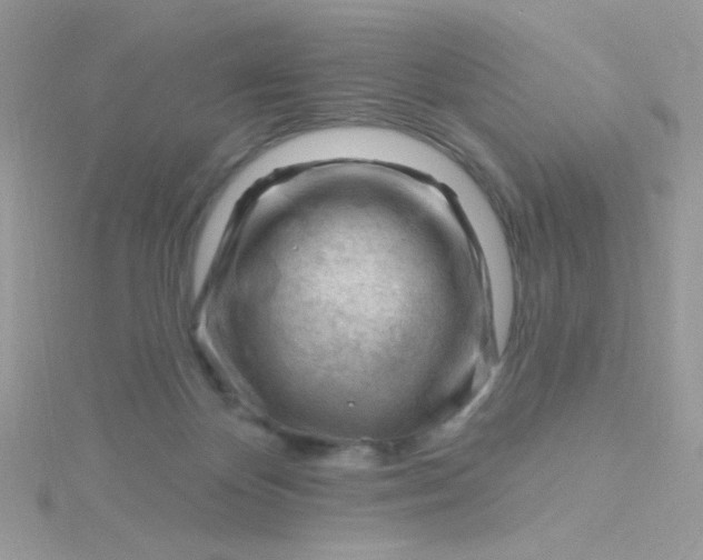 X0000115810124200911271124