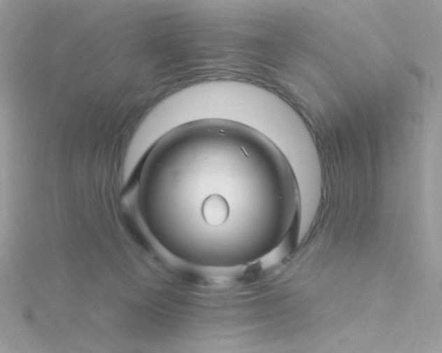 X0000115810129200911271124