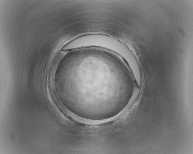 X0000115810145200911271123