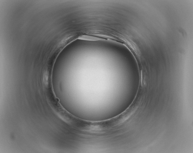 X0000115810157200911271124