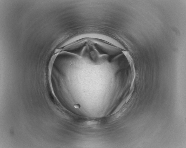 X0000115810158200911271124