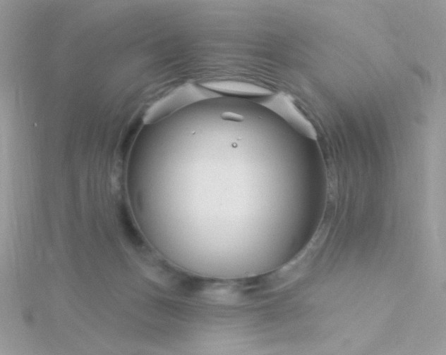 X0000115810175200911271124