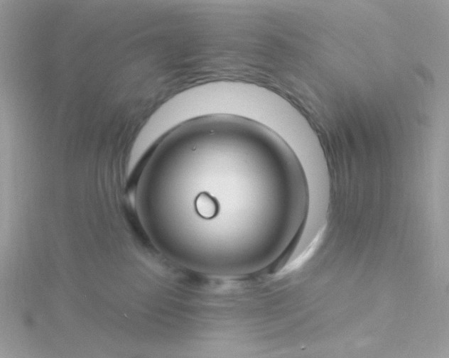 X0000115810186200911271124