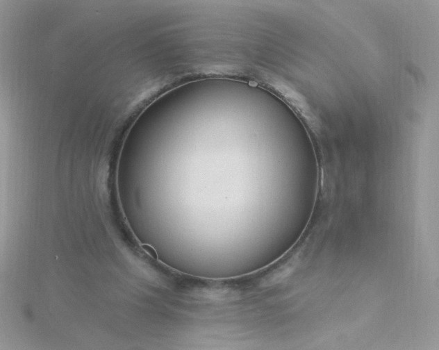 X0000115810201200911271123