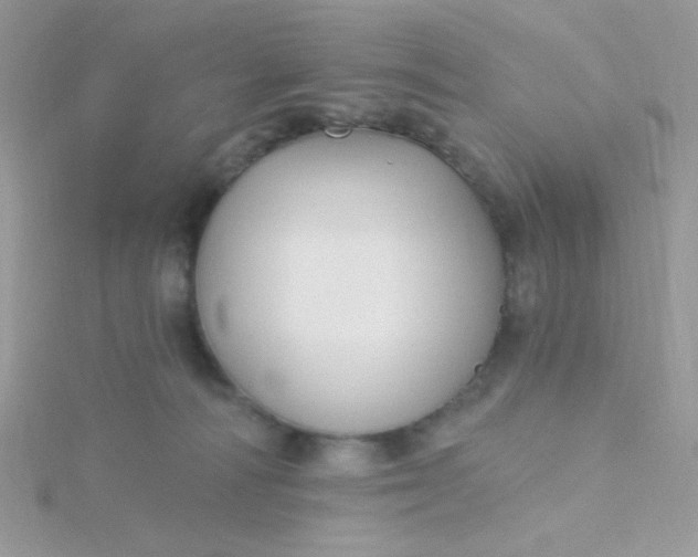 X0000115810226200911271123