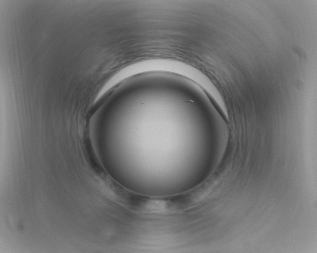X0000115810227200911271123