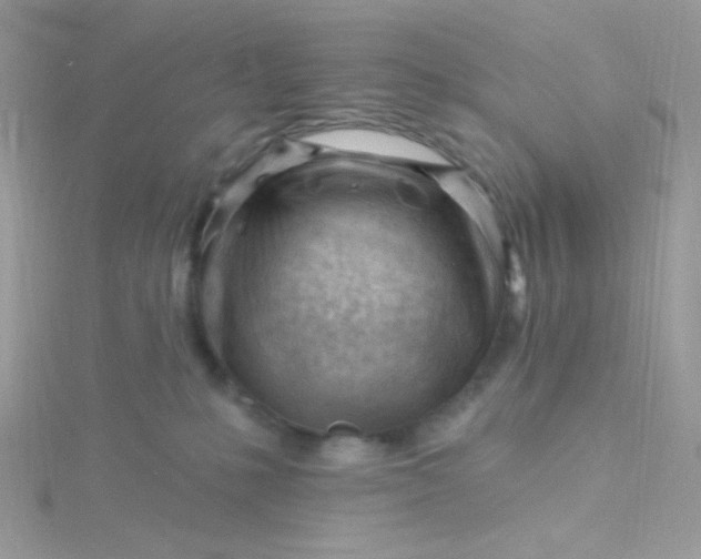 X0000115810231200911271123