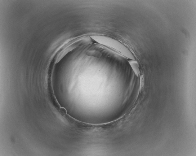 X0000115810243200911271122