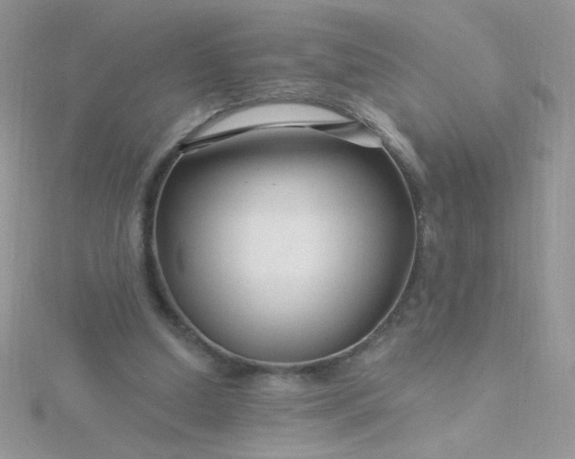 X0000115810250200911271122