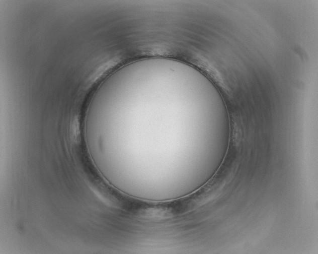 X0000115810251200911271122