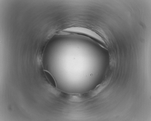 X0000115810285200911271123