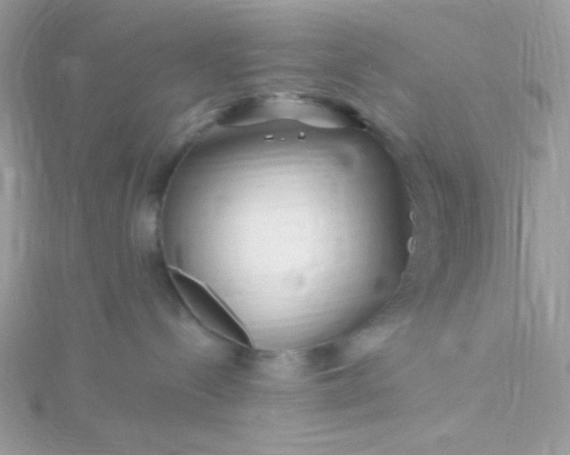 X0000115810288200911271123