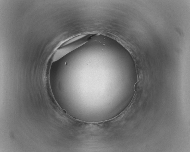 X0000115810290200911271122