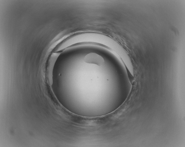 X0000115810295200911271122