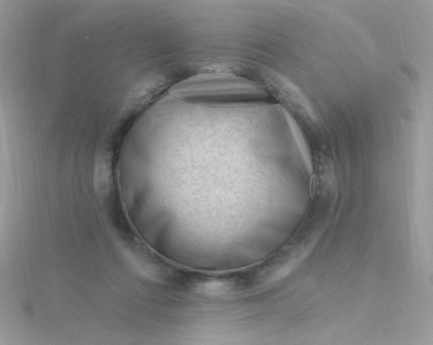 X0000115810312200911271122