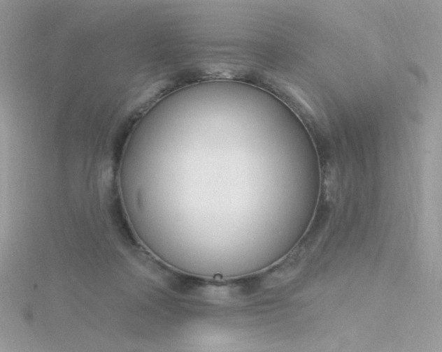 X0000115810314200911271122