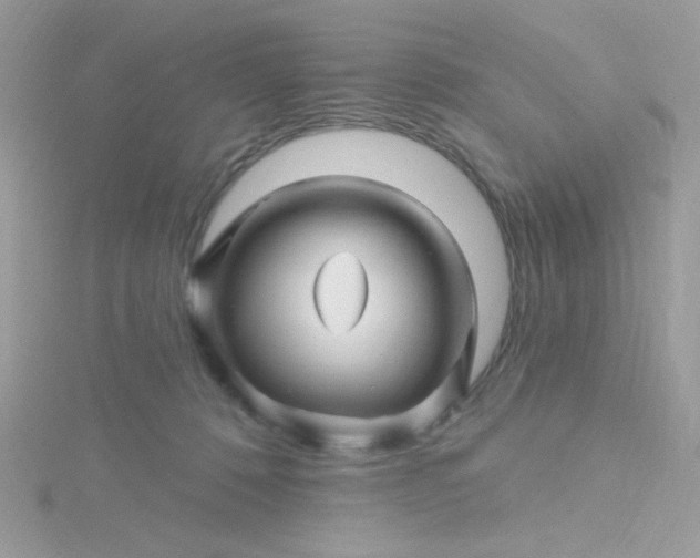X0000115810320200911271122
