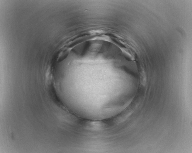 X0000115810324200911271122