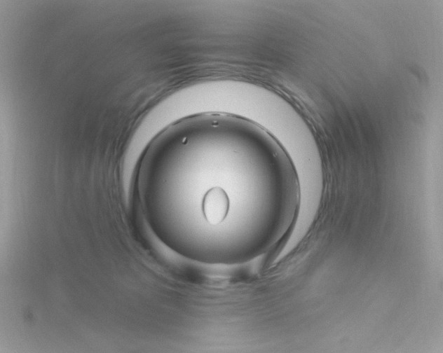 X0000115810325200911271122