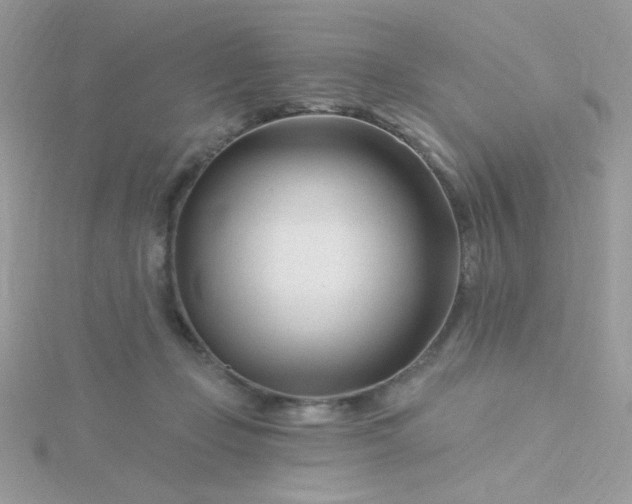 X0000115810365200911271121