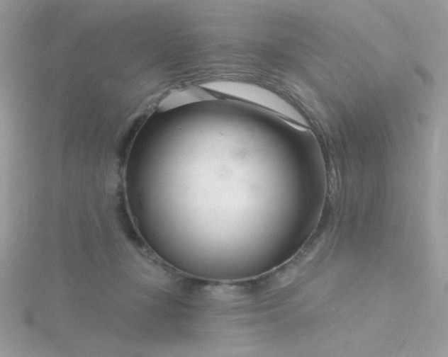 X0000115810367200911271121