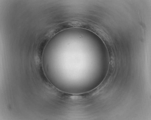 X0000115810371200911271121