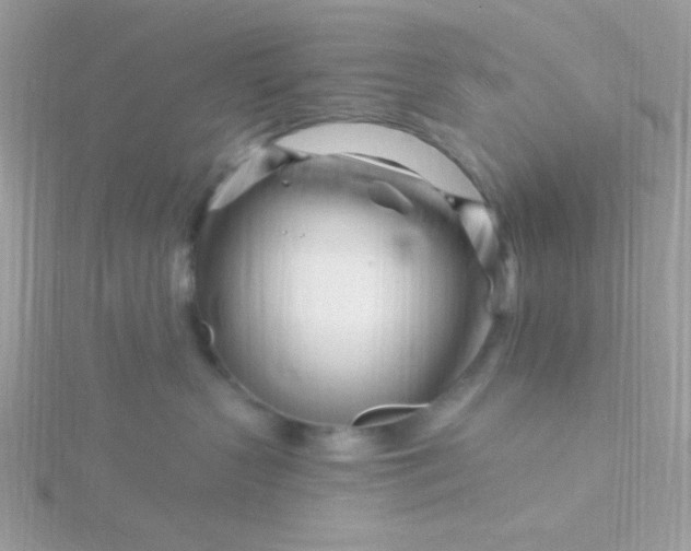 X0000115810383200911271121