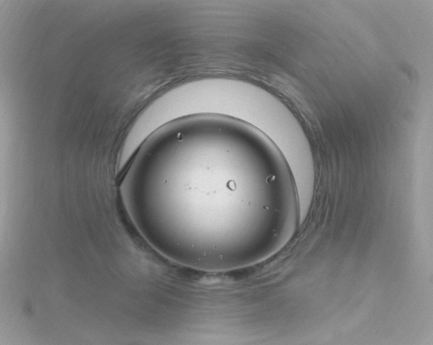 X0000115810415200911271120