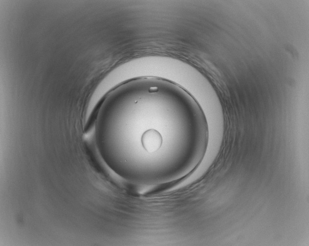 X0000115810419200911271120