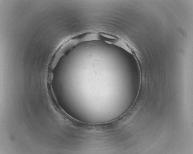 X0000115810434200911271120