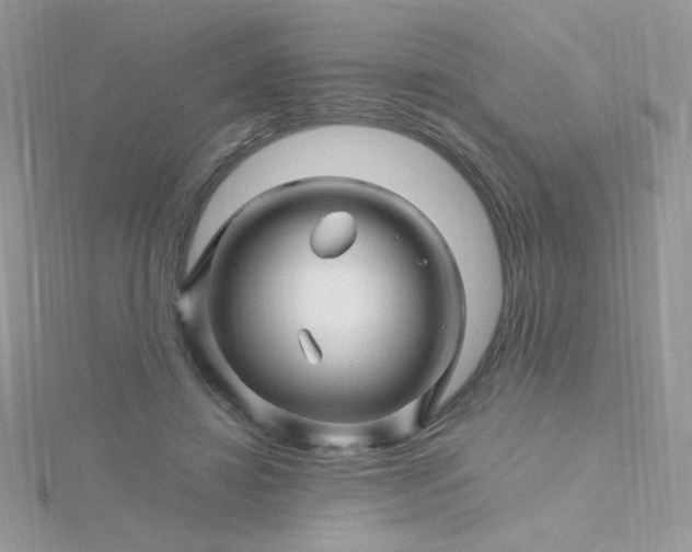 X0000115810452200911271120