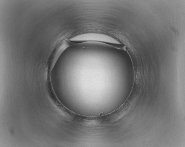 X0000115810454200911271120