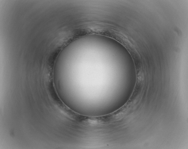 X0000115810464200911271120