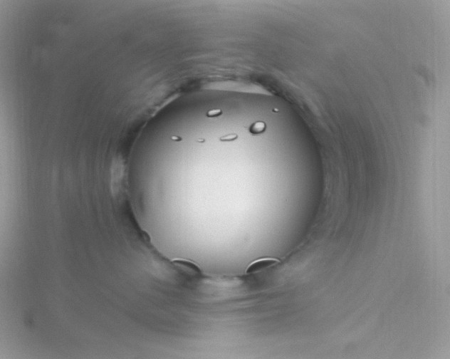 X0000115810480200911271120