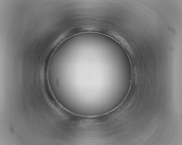 X0000115810482200911271120