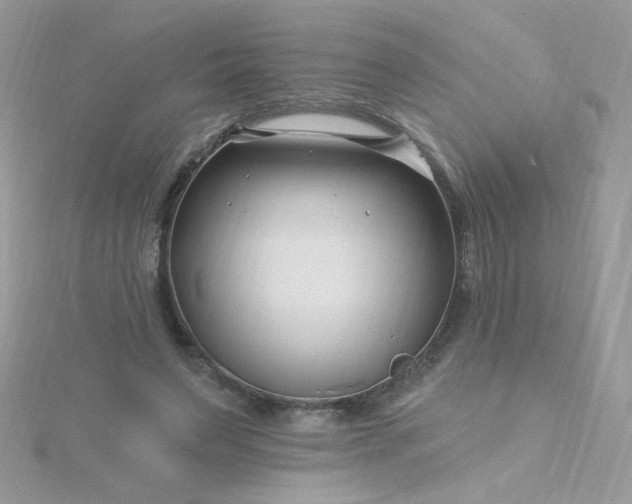 X0000115810495200911271119