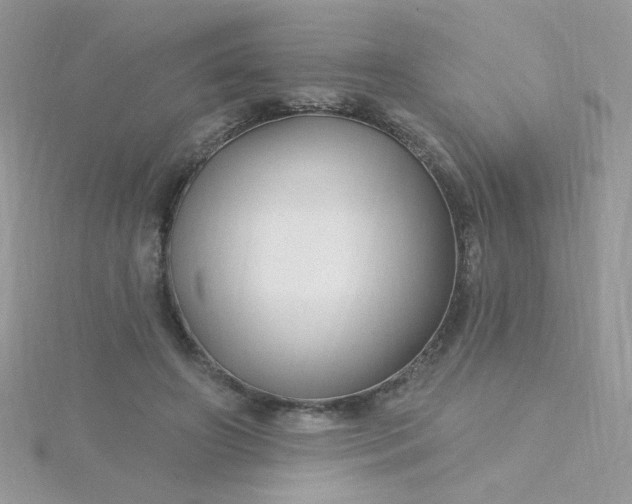 X0000115810498200911271119