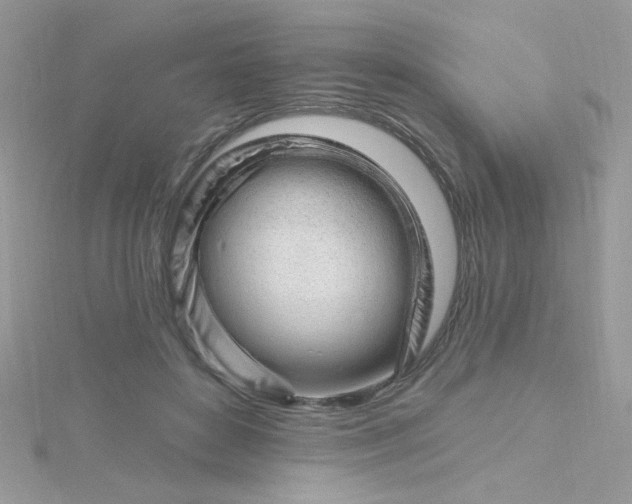 X0000115810504200911271119
