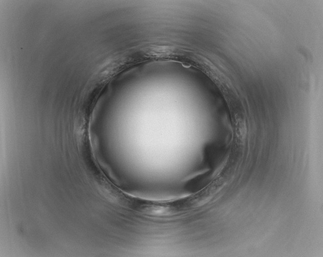 X0000115810507200911271119