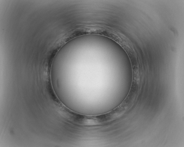 X0000115810510200911271119